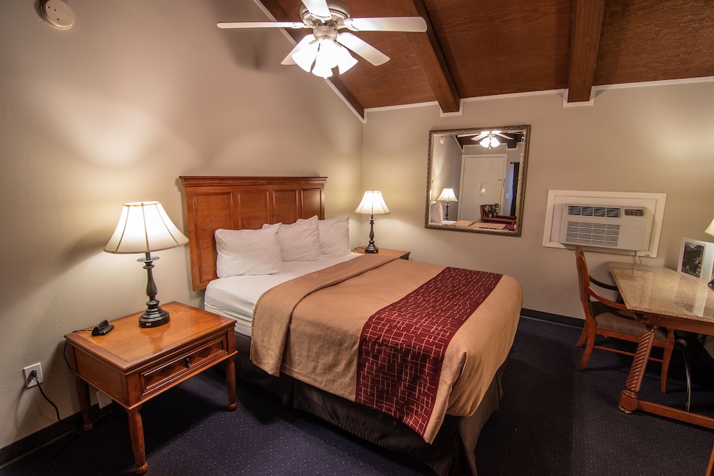 Room, 1 Queen Bed photo 3