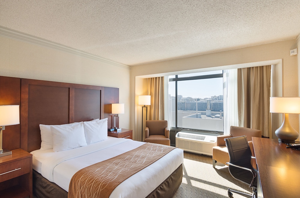 Comfort Inn By the Bay, Photo 10