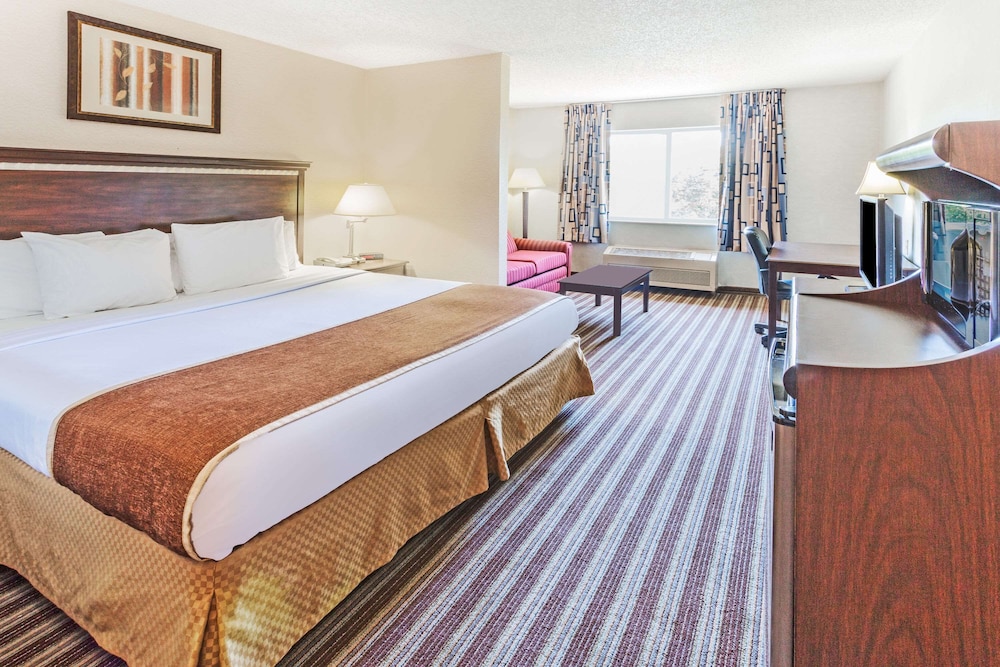 Suite, 1 King Bed with Sofa bed photo 1