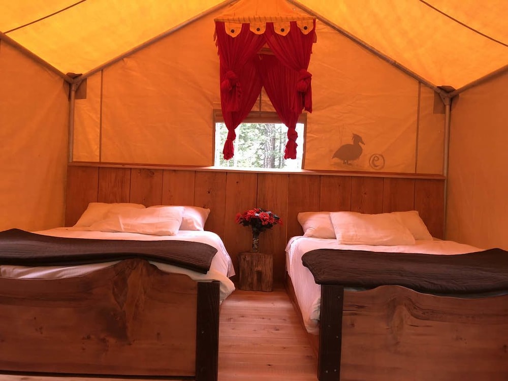 Family Tent, 2 Double Beds, Balcony photo 3