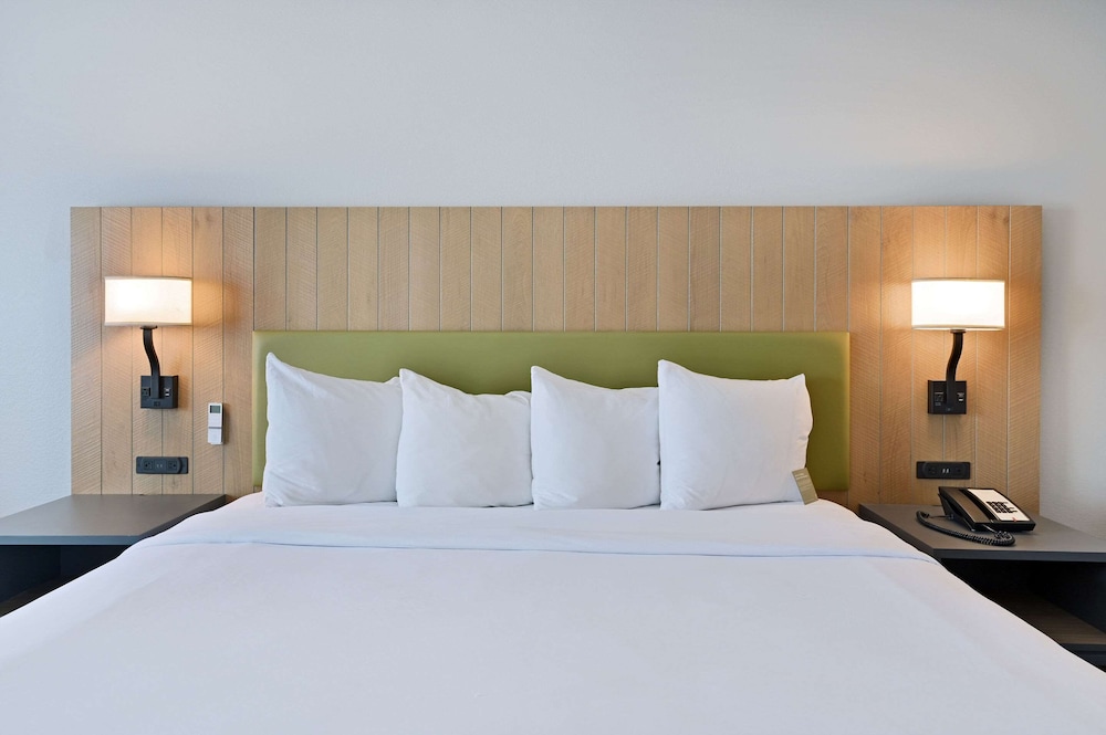 Studio Suite, 1 King Bed, Non Smoking - Photo 4