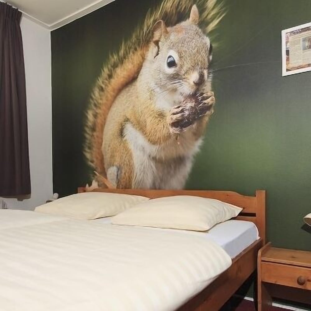 Standard Single Room, 1 Double Bed photo 3