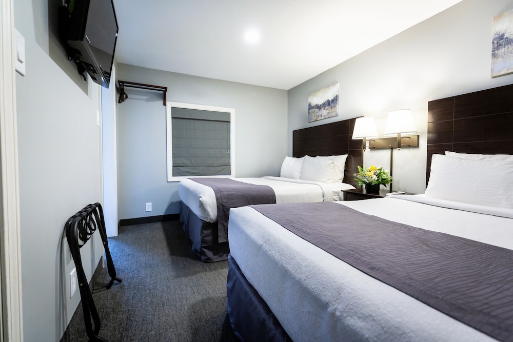 Executive Suite, Multiple Beds (EXECUTIVE SUITE ROOM) photo 3