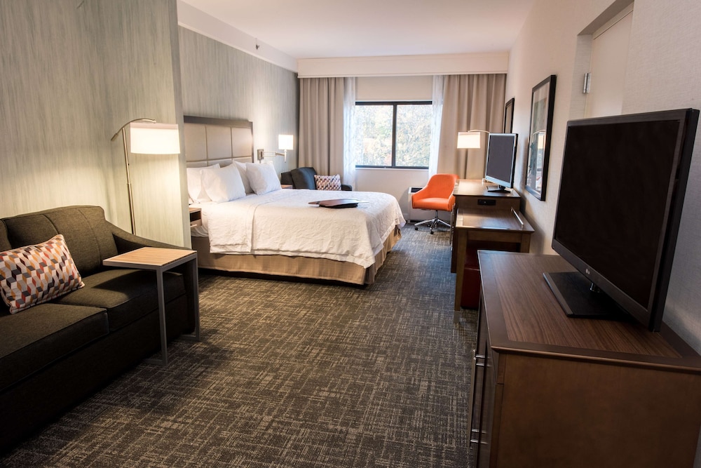 King Suite, Kitchenette photo 2