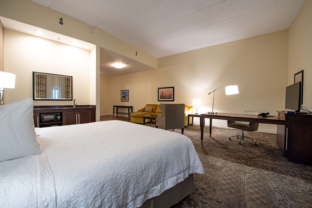 Studio, 1 King Bed, Accessible (Roll-in Shower) - Photo 1