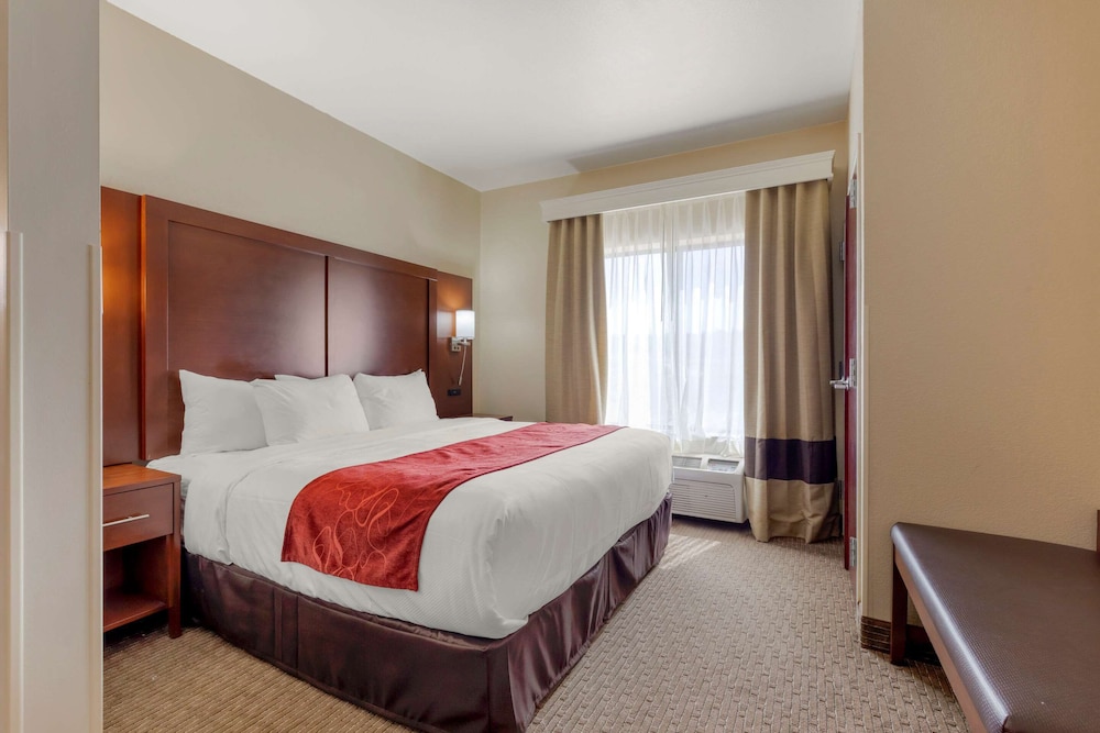 Suite, 1 King Bed with Sofa bed, Non Smoking photo 3