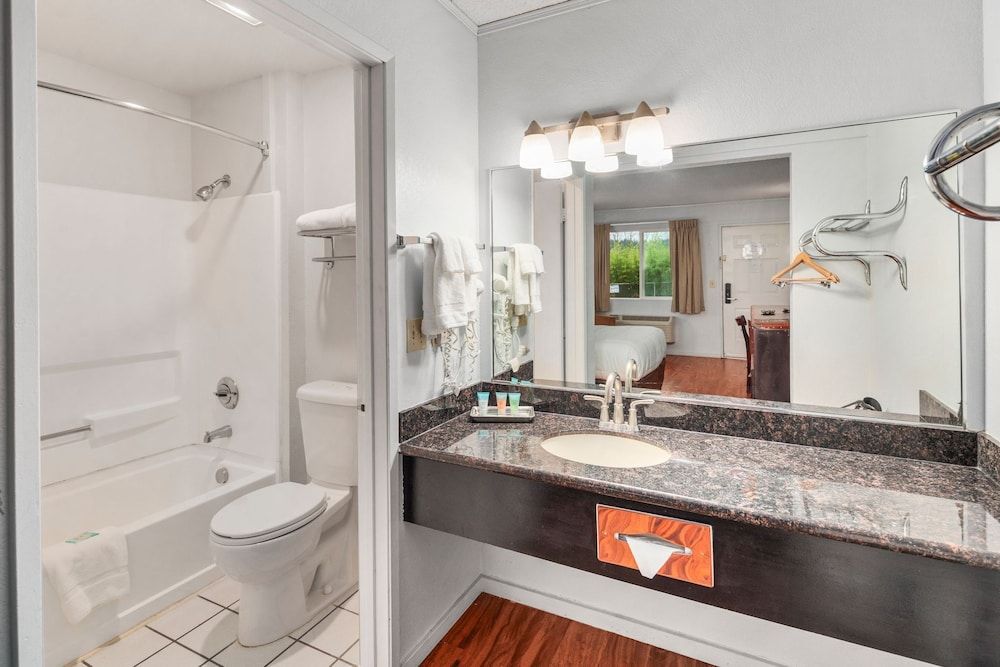 Room, 1 Queen Bed, Accessible Bathtub - Photo 5