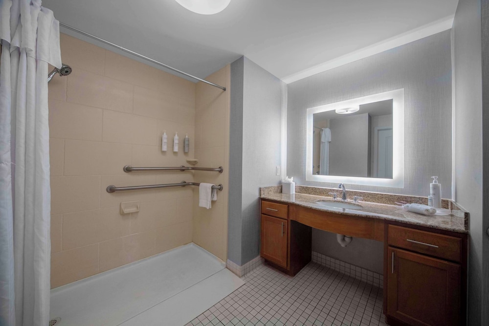 Studio, 1 King Bed, Accessible, Non Smoking (Roll-in Shower) - Photo 5