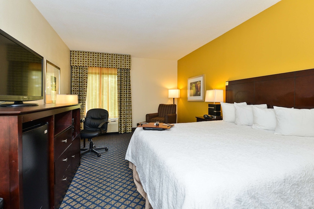 Room, 1 King Bed, Non Smoking - Photo 5