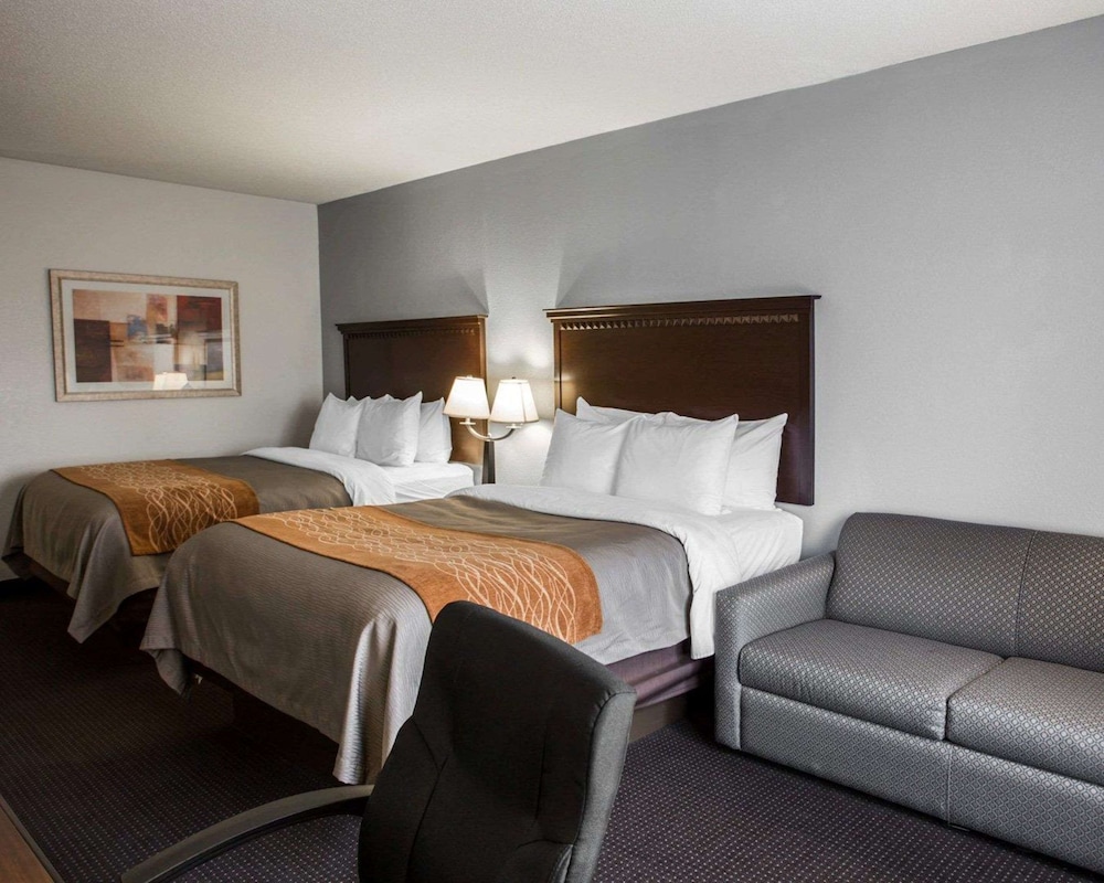 Standard Suite, Multiple Beds (Studio Suite 2 queen beds w/ sofabed) - Photo 5