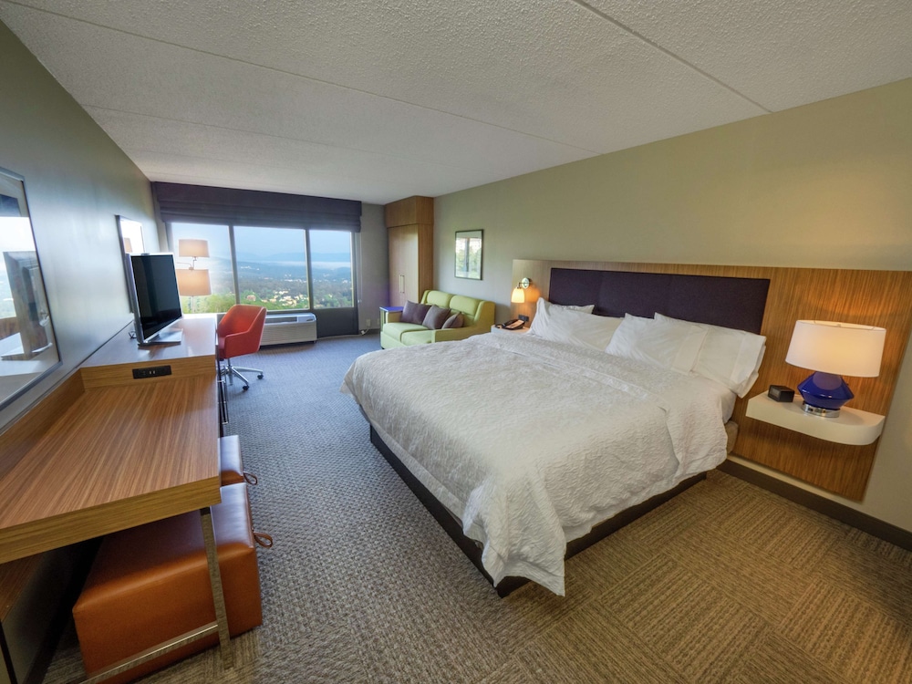 Room, 1 King Bed, Non Smoking, Valley View (Study) - Photo 3