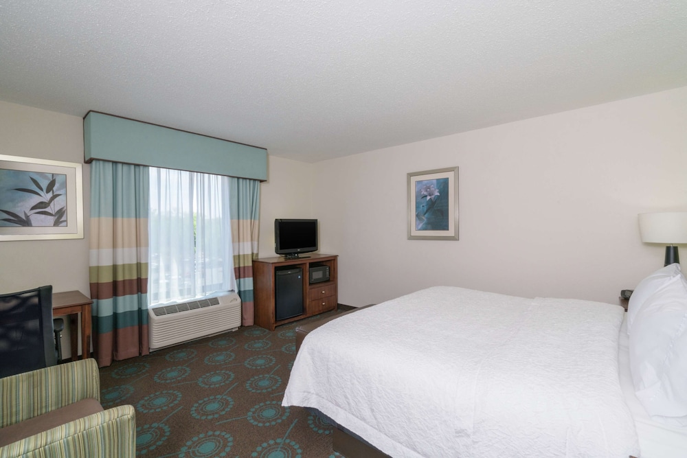 One King Bed - Photo 4