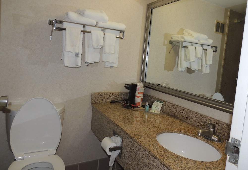Room, 1 King Bed, Non Smoking (Upgrade) - Photo 10