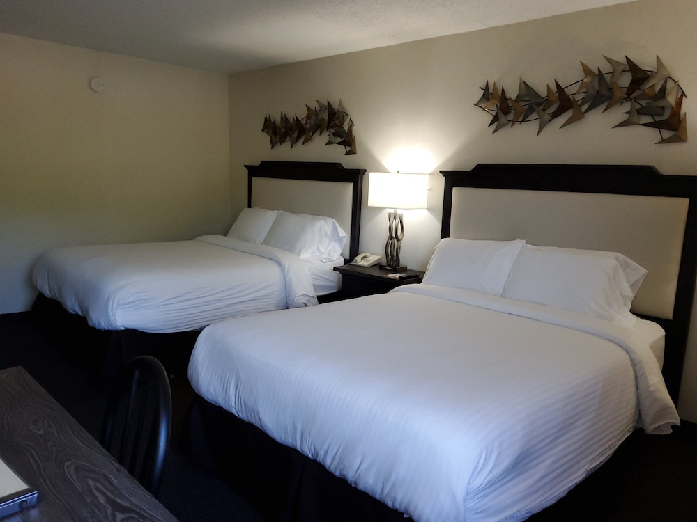 Comfort Room, 2 Queen Beds