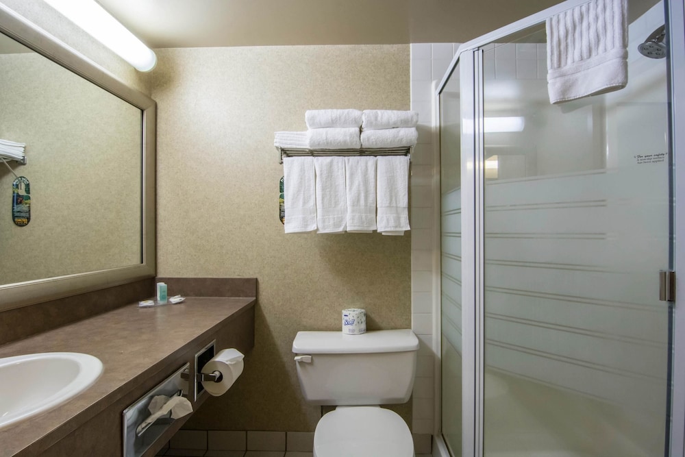 Suite, 1 Queen Bed - Photo 4