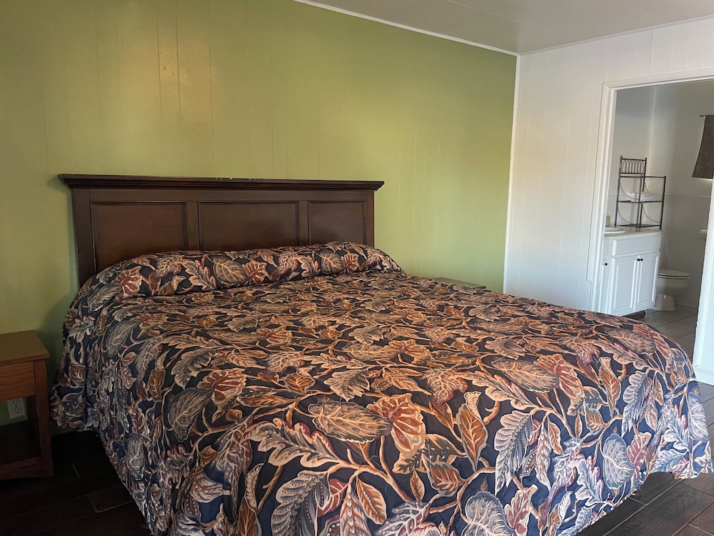 Room, 1 King Bed, Non Smoking - Photo 1