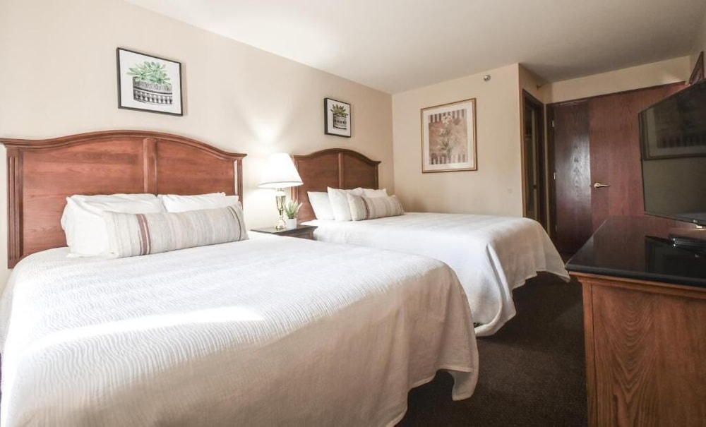 Premier Suite (Queen) - Photo 13