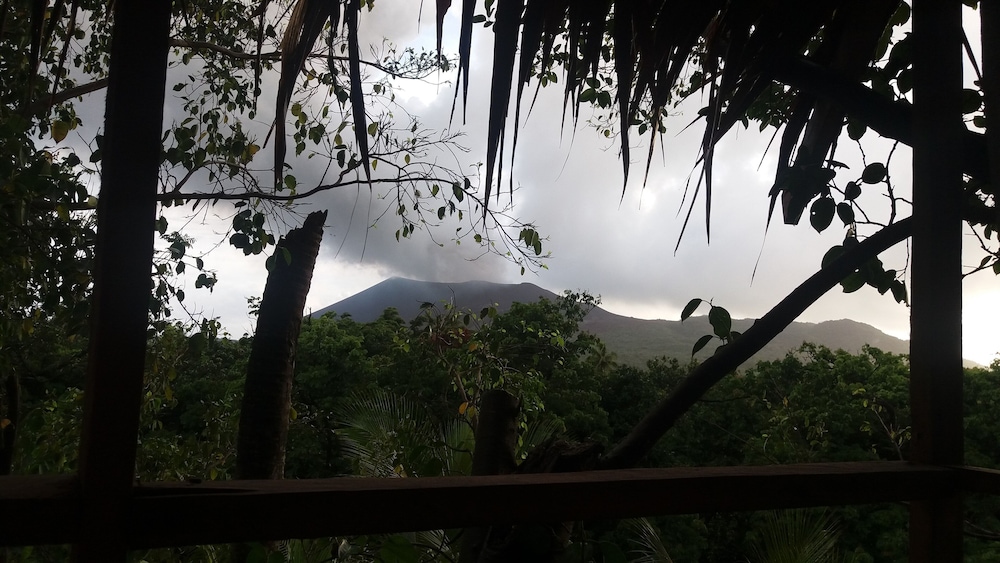 Premium Tree House photo 2