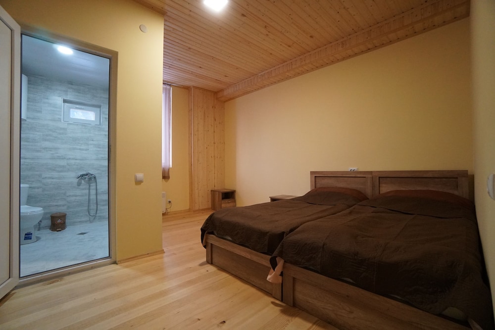 Basic Double or Twin Room