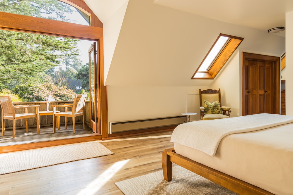 Deluxe King Suite photo 1