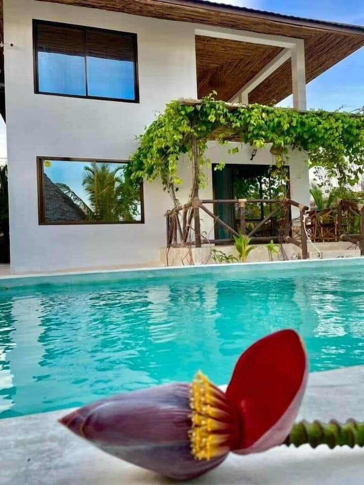 Signature Villa photo 3