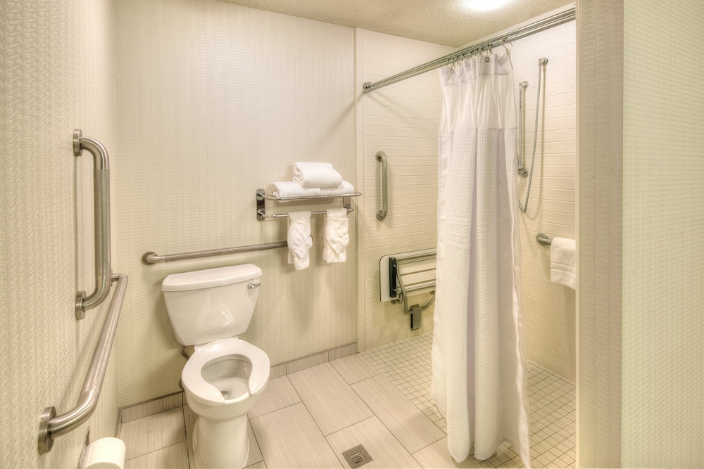 Premium Room, 1 King Bed, Roll-in Shower, Non Smoking (Communications, Roll-In Shower) - Photo 1