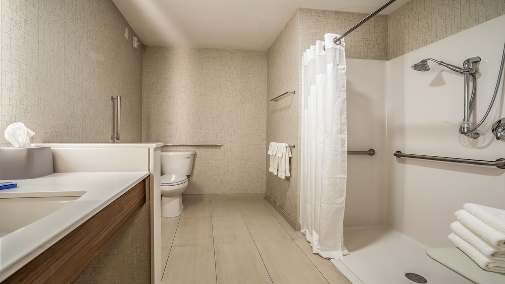 Standard Room, 1 King Bed, Accessible (Mobility, Transfer Shower) photo 2