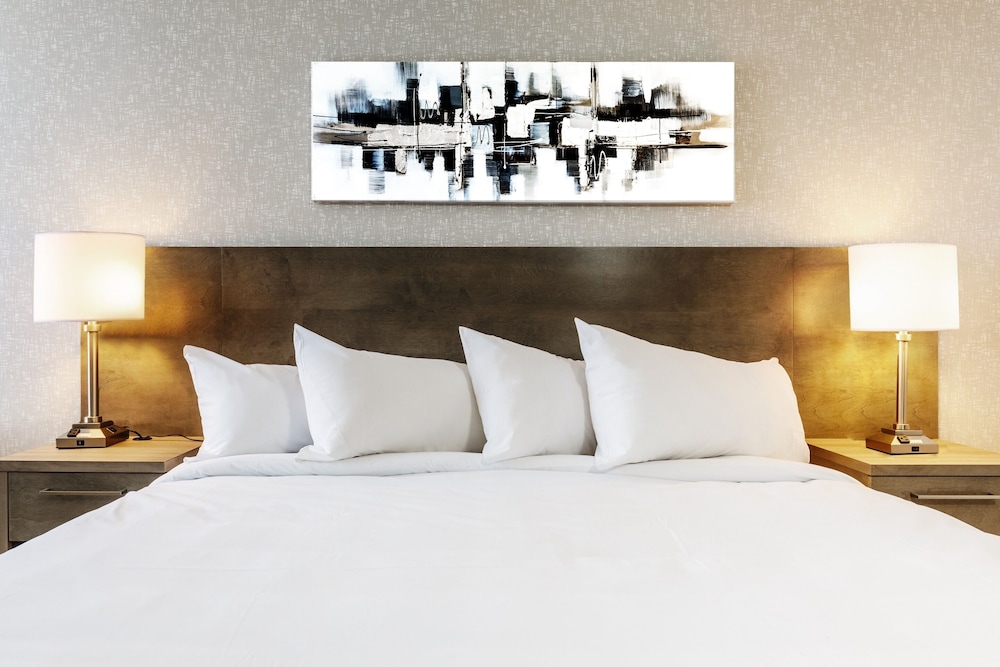 Executive Room, 1 King Bed photo 3