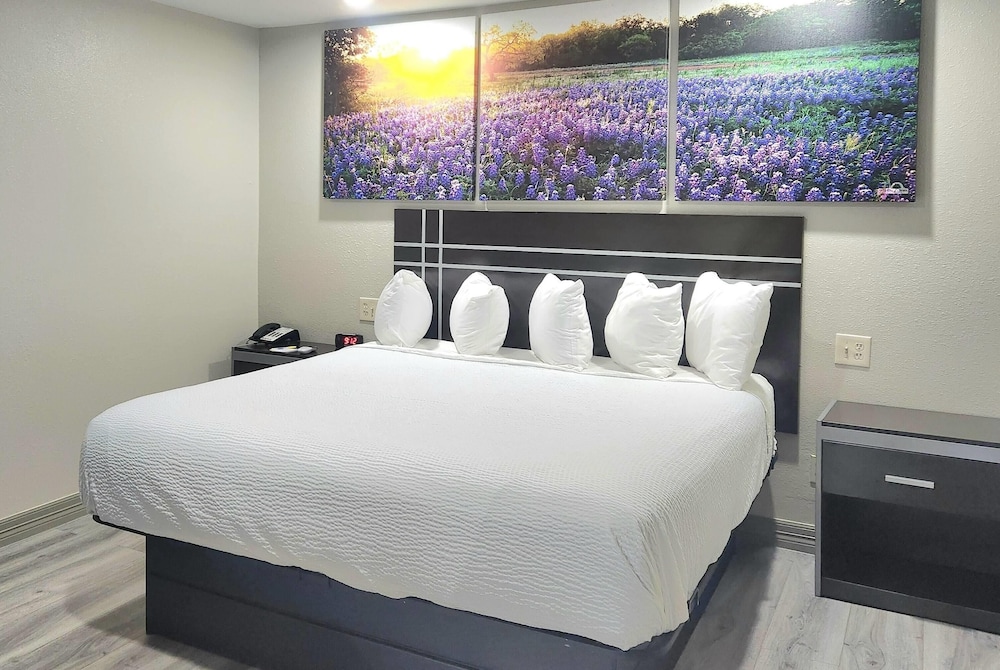 Suite, 1 King Bed, Non Smoking (One-Bedroom) - Photo 1