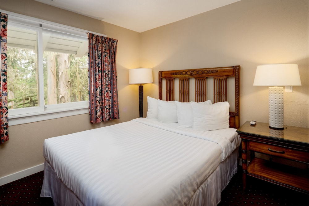 Suite photo 3