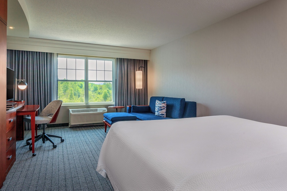 Suite, 1 Bedroom (Mobility/Hearing Access, Roll-in Shwr) photo 1
