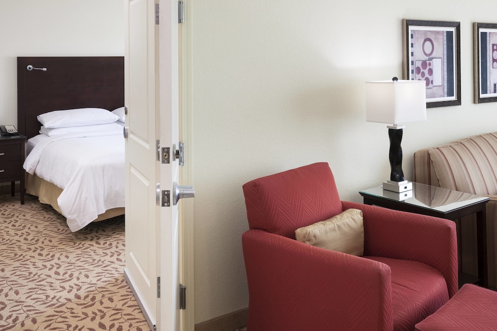 Suite, 1 Bedroom - Photo 1