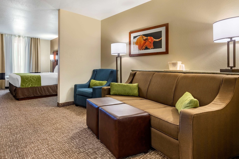 Suite, 1 King Bed with Sofa bed, Accessible, Non Smoking - Photo 2
