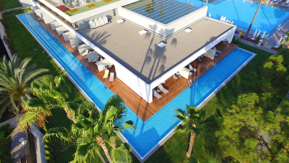 Swim Up Room photo 2