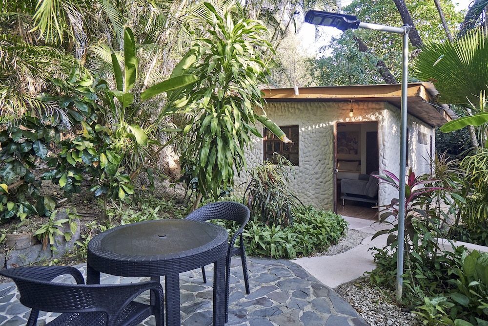 Jungle Suite photo 2