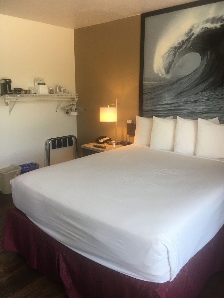 Standard Single Room, 1 Twin Bed, Accessible - Photo 4