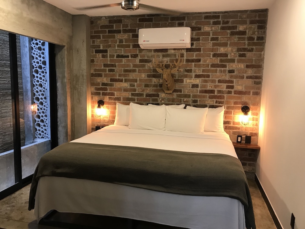 Suite 103 : one king bed photo 1