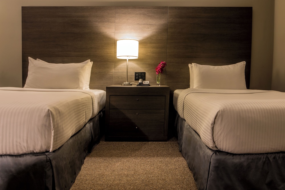 Twin Room photo 2