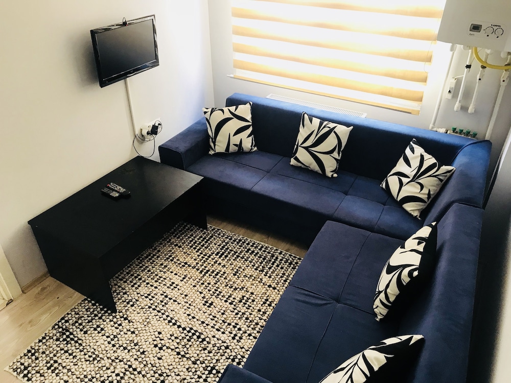 Apartment, 1 Bedroom photo 3