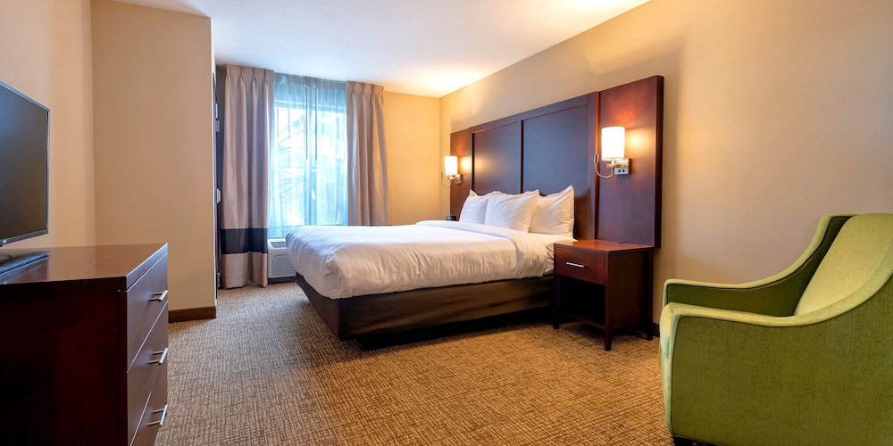 Suite, 1 King Bed with Sofa bed, Non Smoking (Parlor) - Photo 1