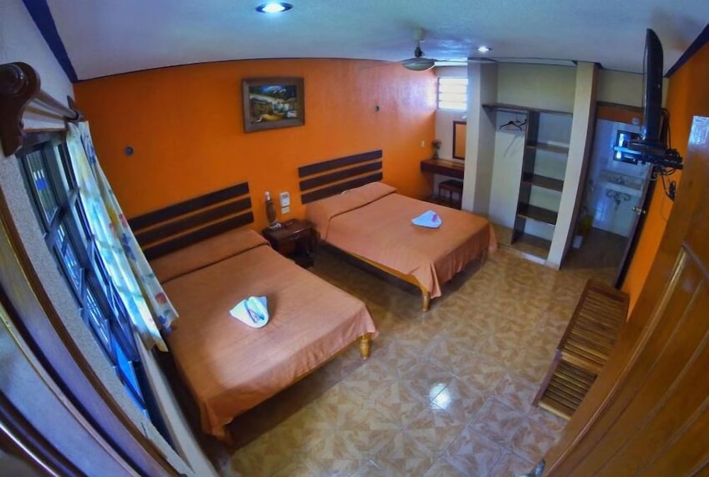 Basic Double Room, 2 Double Beds photo 1