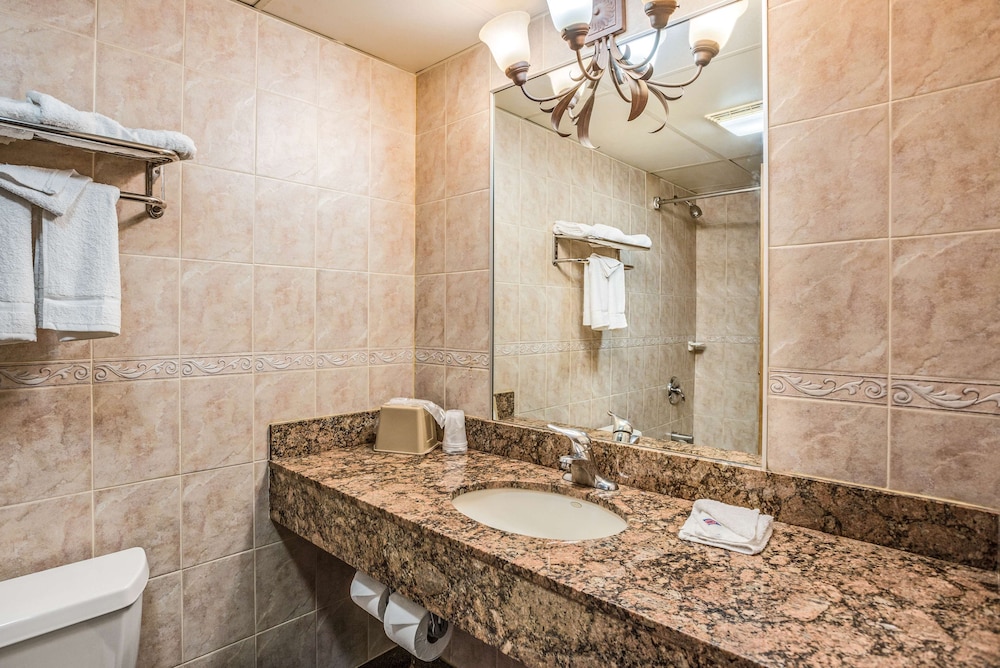 Deluxe Room, 1 King Bed, Non Smoking, Refrigerator & Microwave - Photo 10