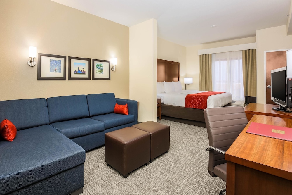 Suite - Photo 2