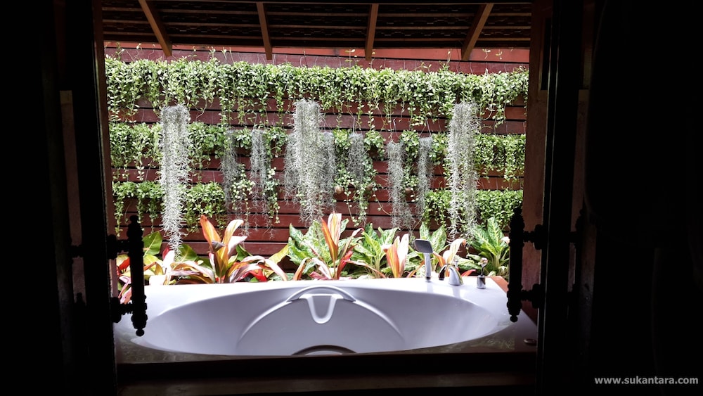 Suite Waterfall Pool Villa - Photo 6