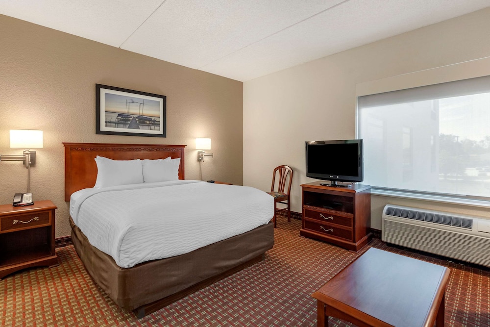 Room, 1 Queen Bed With Sofa Bed photo 1