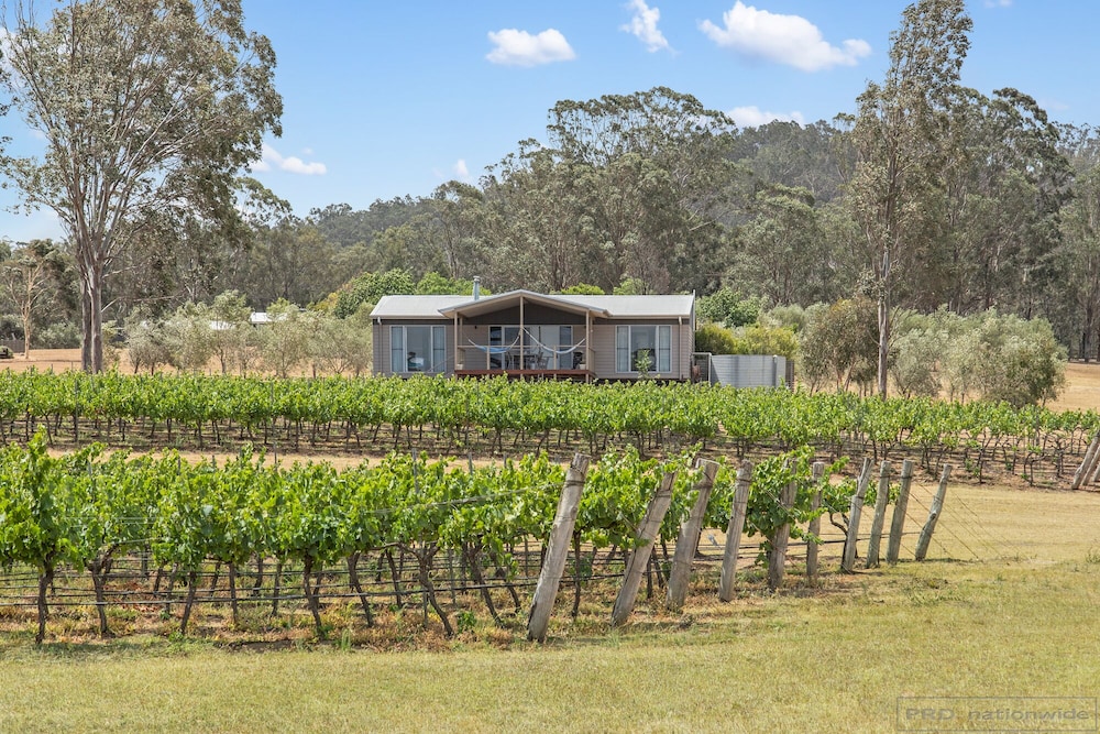 Vineyard Retreat photo 3
