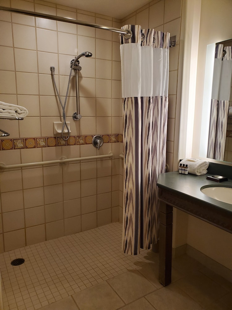 Room, 1 King Bed, Accessible (Shower) - Photo 3