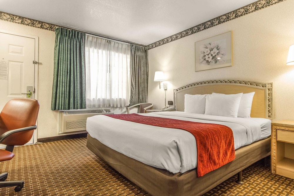 Standard Room, 1 King Bed - Photo 5