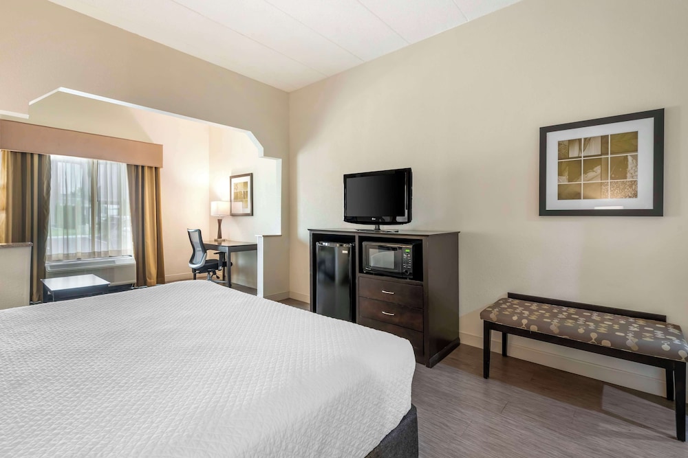 Suite, 1 King Bed, Accessible, Non Smoking (with Sofabed) - Photo 1