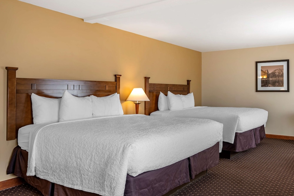 Standard Room, Multiple Beds, Non Smoking, Microwave photo 2
